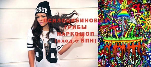 молекула духа Арсеньев