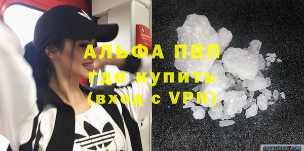 молекула духа Арсеньев