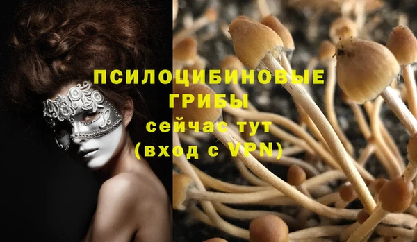 молекула духа Арсеньев