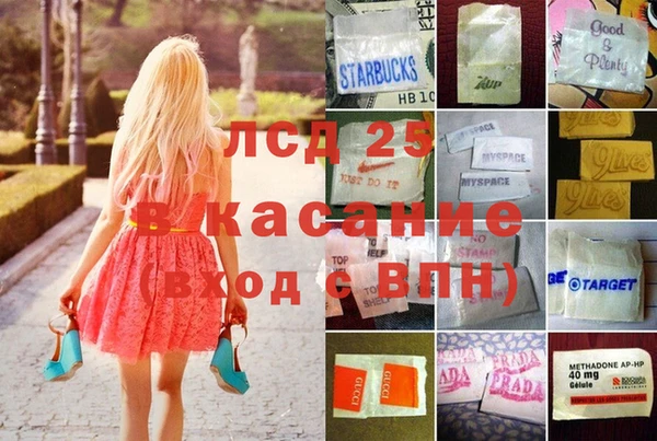 молекула духа Арсеньев