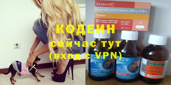 молекула духа Арсеньев