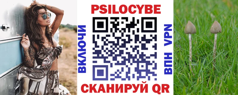 ссылка на мегу рабочий сайт  хочу   даркнет как зайти  Псилоцибиновые грибы Cubensis  Углич 